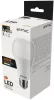Entac LED Globe E27 15W NW 4000K