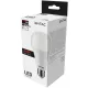 Entac LED Globe E27 15W WW 3000K