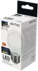 Entac LED Mini Globe E27 6,5W CW 6400K